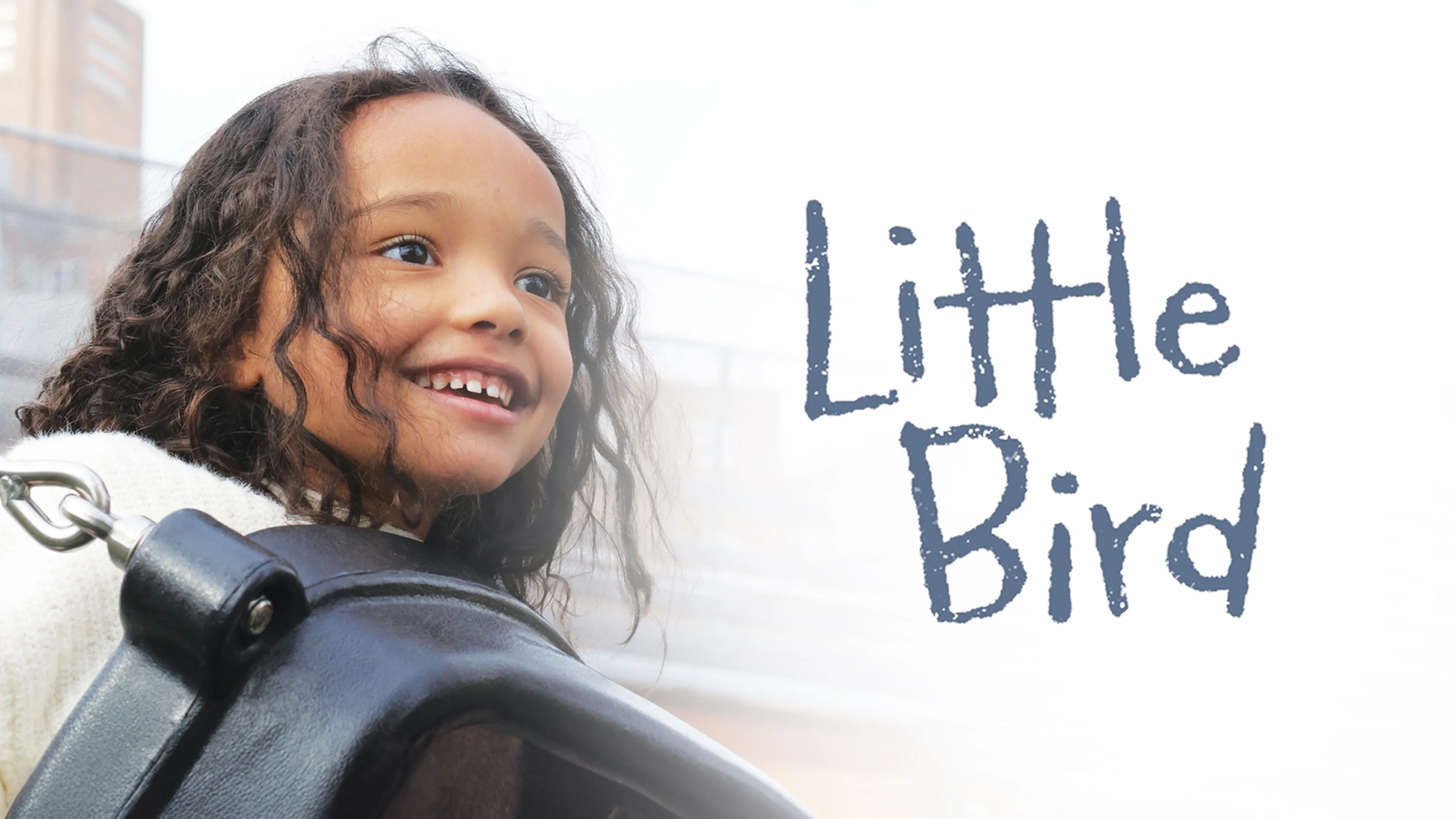 Little Bird poster